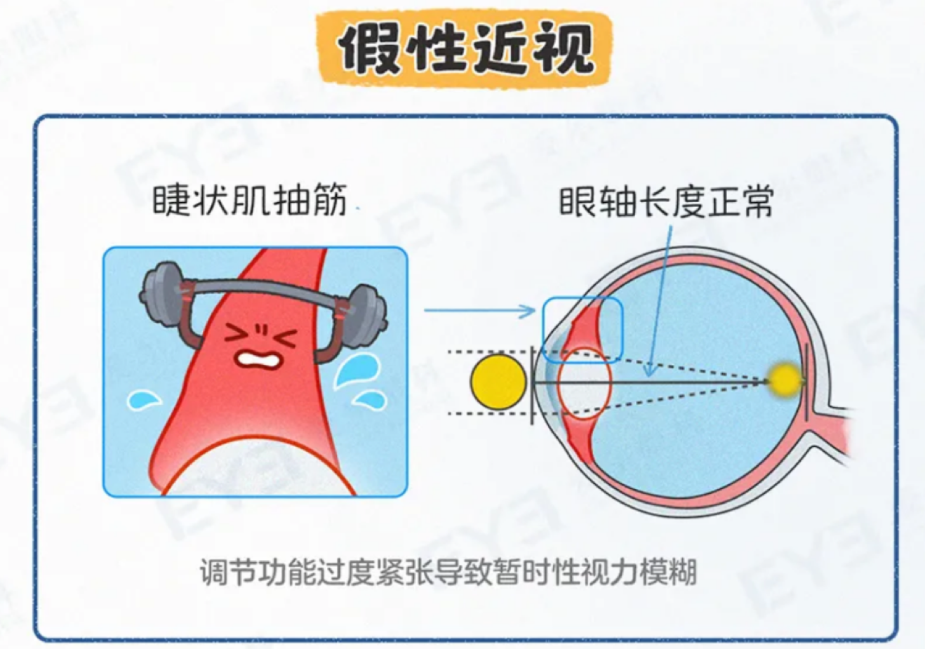 微信圖片_20250415103033 微信圖片_20250415103033