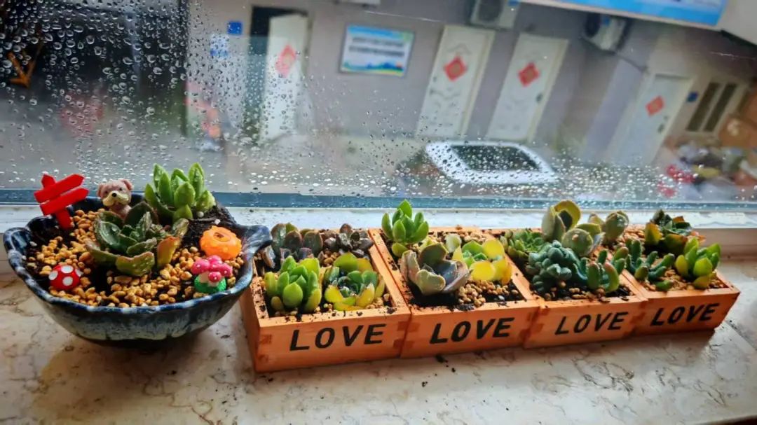 微信圖片_2025-08-20_092835_508 微信圖片_2025-08-20_092835_508