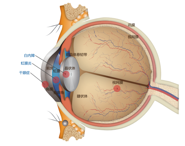 微信圖片_2025-10-04_150404_790 微信圖片_2025-10-04_150404_790