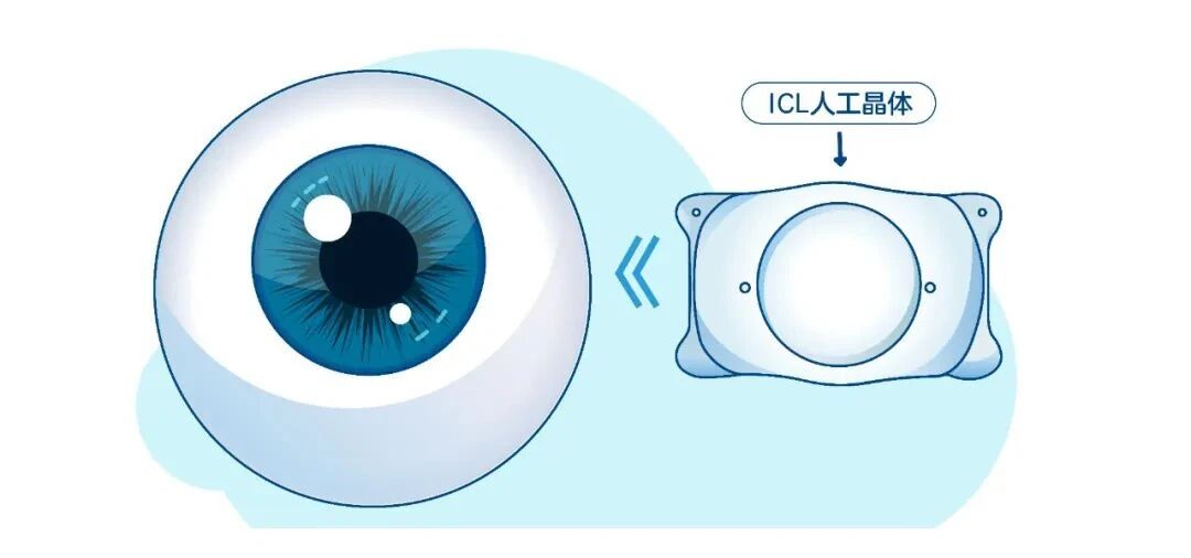 微信圖片_2025-12-11_142622_948 微信圖片_2025-12-11_142622_948