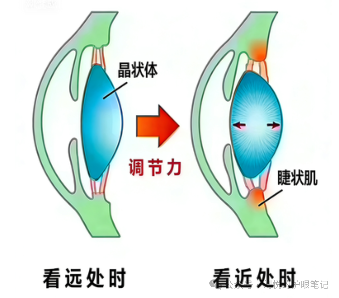 微信圖片_2026-01-05_135924_175 微信圖片_2026-01-05_135924_175