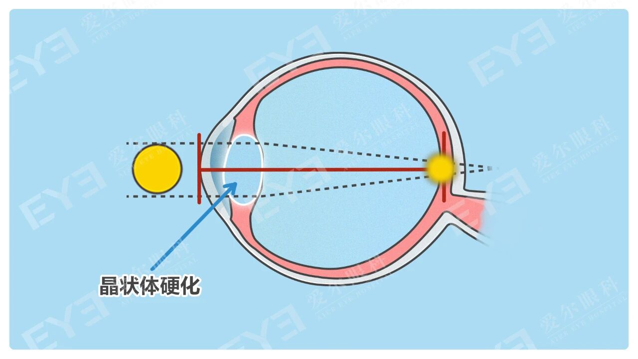 微信圖片_2026-01-07_094613_354 微信圖片_2026-01-07_094613_354