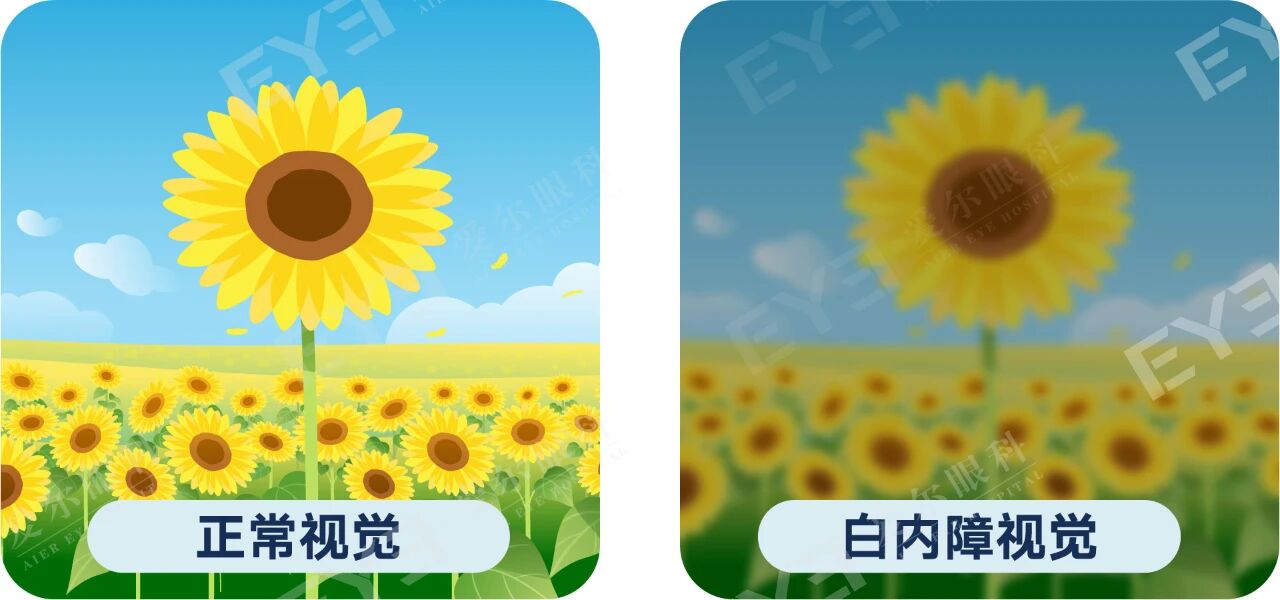 微信圖片_2026-01-07_094815_904 微信圖片_2026-01-07_094815_904